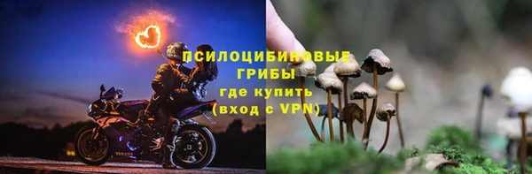 винт Белокуриха